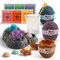 Hape: Science Can: Crystal Dinosaur Growing Deluxe Kit - Growing Chemistry Experiment Toy, 3 pc Archeology Tools, Observation Diary, Kids Ages 8+